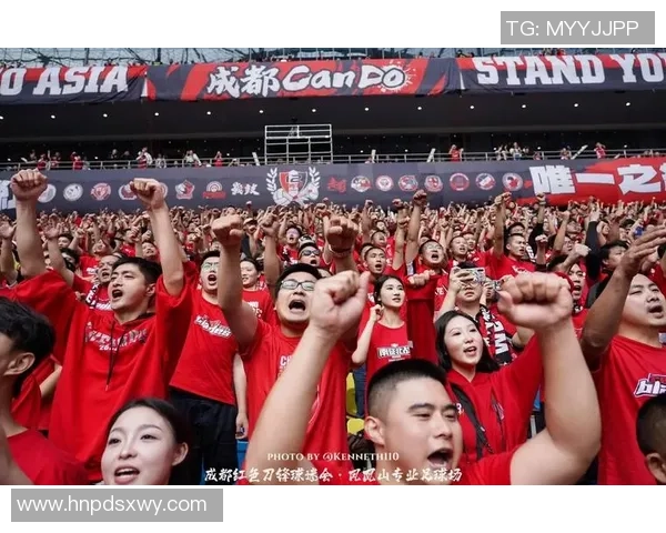 足球巨星眼中的足球魅力与挑战球场内外的真实评价